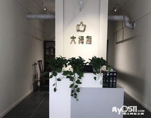 大拇指家政五店共惠 家政協會單位 吊燈家電清洗 各類保潔 客服微信17887276766